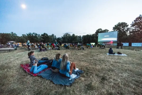 Kino plenerowe w Świętosławiu – pokaz animacji „Był sobie kot”