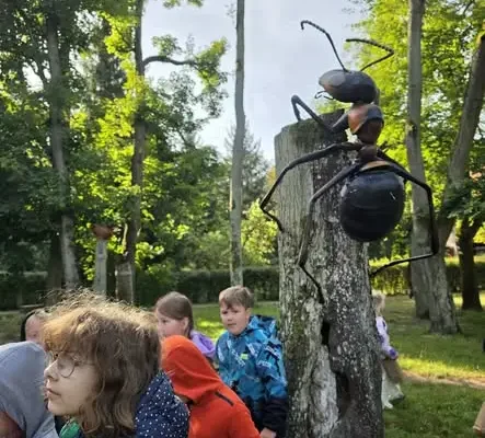 Jesienna wyprawa uczniów na Barbarkę – lekcja przyrody w Szkole Leśnej