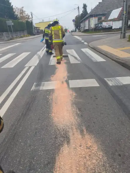 Plama oleju na drodze wojewódzkiej 534 w Radominie – interwencja strażaków